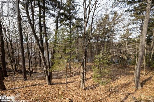 82 Louisa Street, Parry Sound, ON - Outdoor With View