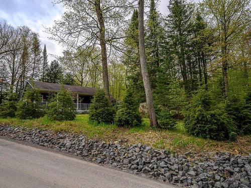 Overall view - 11 Ch. Des Cailles, Sainte-Anne-Des-Lacs, QC - Outdoor