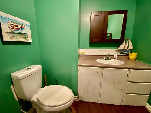 Salle d'eau - 204 Ch. De La Martinique, Les Îles-De-La-Madeleine, QC - Indoor Photo Showing Bathroom