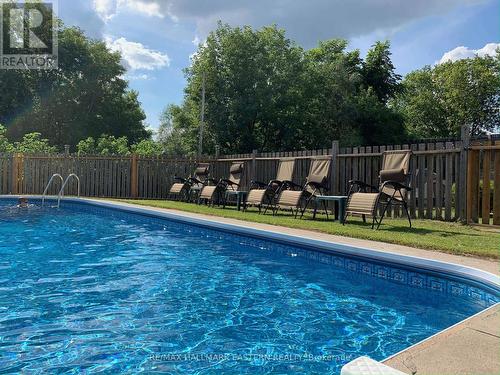 2294 County Road 45, Asphodel-Norwood, ON - Outdoor With In Ground Pool With Backyard