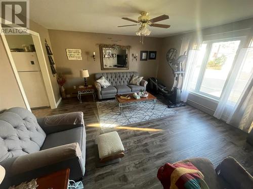 3 Wheeler'S Avenue, Grand Falls-Windsor, NL - Indoor Photo Showing Living Room