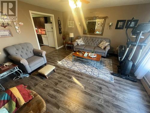 3 Wheeler'S Avenue, Grand Falls-Windsor, NL - Indoor Photo Showing Living Room