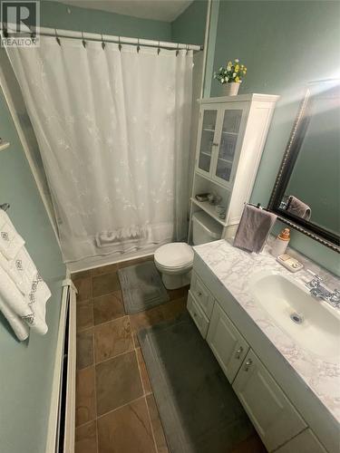 3 Wheeler'S Avenue, Grand Falls-Windsor, NL - Indoor Photo Showing Bathroom