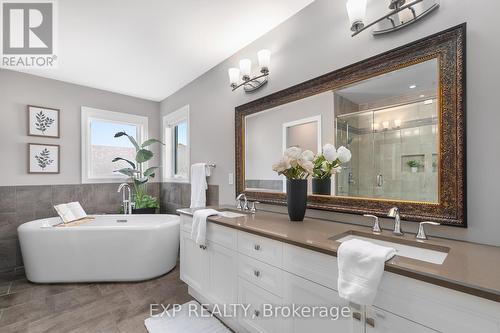 259 Falconridge Dr, Kitchener, ON - Indoor Photo Showing Bathroom
