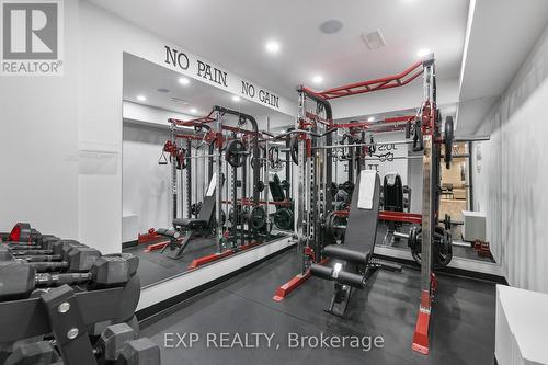 259 Falconridge Dr, Kitchener, ON - Indoor Photo Showing Gym Room