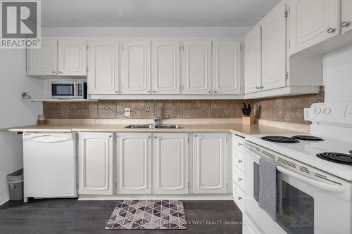 309 - 215 Glenridge Avenue, St. Catharines, ON - Indoor Photo Showing Kitchen With Double Sink
