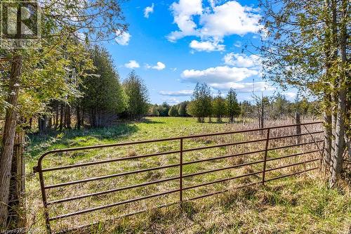 312188 Highway 6, West Grey, ON - Outdoor With View