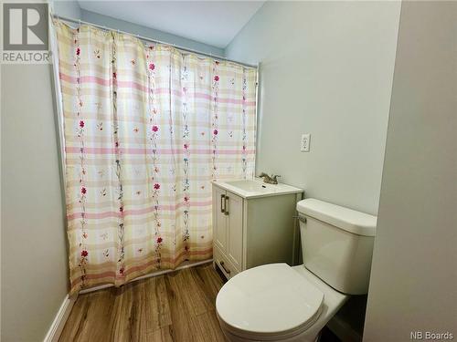 12880 Route 105, Tobique Narrows, NB - Indoor Photo Showing Bathroom