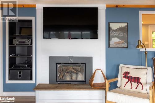Propane Fireplace - 6034 Haliburton Lake Road, Haliburton, ON - Indoor Photo Showing Living Room With Fireplace