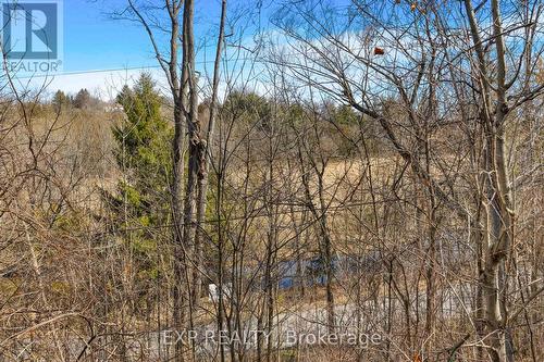 20 Mill Pond Dr, Halton Hills, ON - Outdoor With View