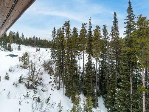 8-360 Strayhorse Road, Apex Mountain, BC - Outdoor With View