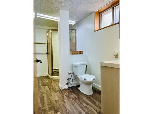 414 11Th Avenue S, Cranbrook, BC - Indoor Photo Showing Bathroom
