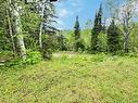 Overall view - 2030 Ch. Schryer, Laniel, QC  - Outdoor 