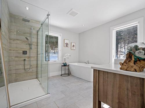 Bathroom - 80 Rue Du Plateau, Mont-Blanc, QC - Indoor Photo Showing Bathroom