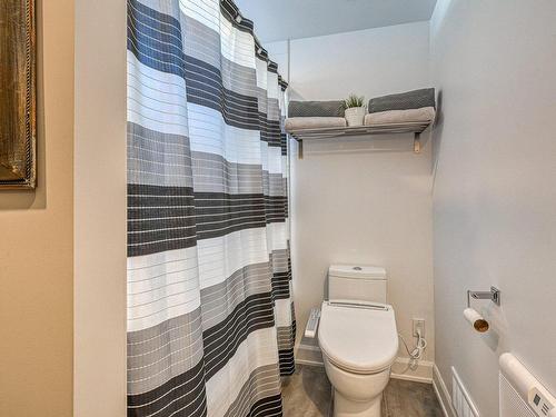 Salle de bains - 133 Rue Des Monts, Saint-Sauveur, QC - Indoor Photo Showing Bathroom