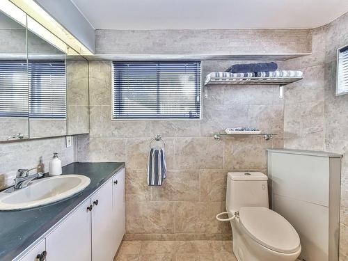 Salle de bains - 133 Rue Des Monts, Saint-Sauveur, QC - Indoor Photo Showing Bathroom