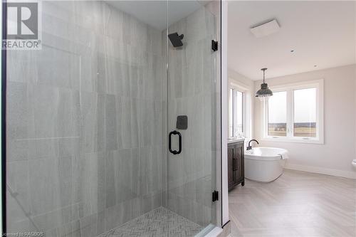 42 Chestnut Hill Crescent, Tara, ON - Indoor Photo Showing Bathroom