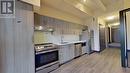 #303 -121 King St E, Hamilton, ON  - Indoor Photo Showing Kitchen With Stainless Steel Kitchen 