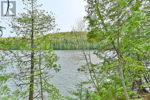 1008B Gordie Lane, North Frontenac, ON - Outdoor With Body Of Water