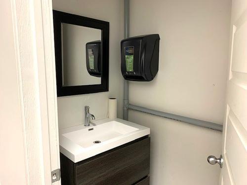 Salle d'eau - 2900 Boul. Losch, Longueuil (Saint-Hubert), QC - Indoor Photo Showing Bathroom