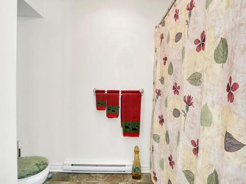Bathroom - 308 Rue Michel-Morvan, Thurso, QC - Indoor Photo Showing Bathroom