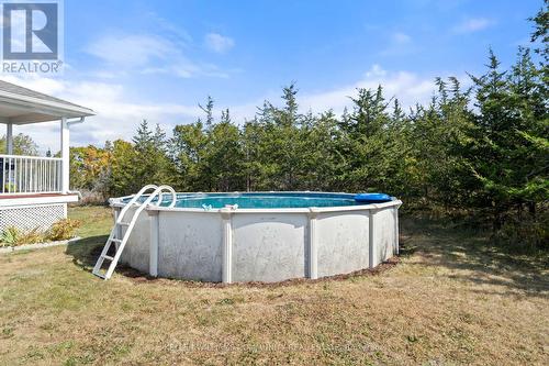 3542 Highway 62, Prince Edward County, ON - Outdoor With Above Ground Pool With Backyard