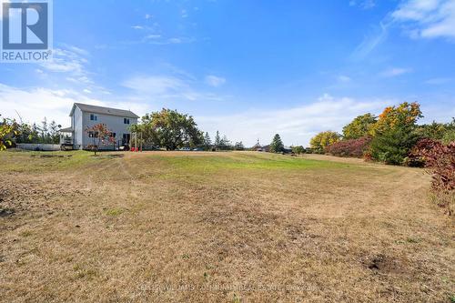 3542 Highway 62, Prince Edward County, ON - Outdoor