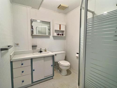 Salle de bains - 29 Rue Du Vieux-Fort, Lévis (Desjardins), QC - Indoor Photo Showing Bathroom