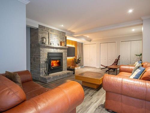 Salle familiale - 4041 Ch. Montpetit, Magog, QC - Indoor Photo Showing Living Room With Fireplace