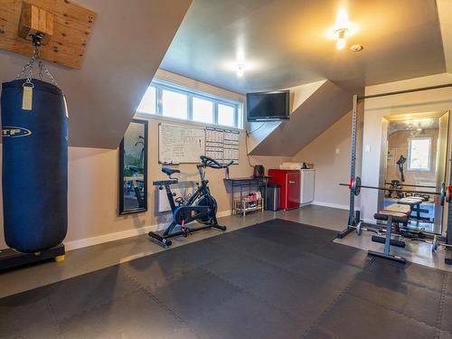 Salle d'exercice - 4041 Ch. Montpetit, Magog, QC - Indoor Photo Showing Gym Room