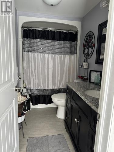 42 Mill Pond Road, Benton, NL - Indoor Photo Showing Bathroom