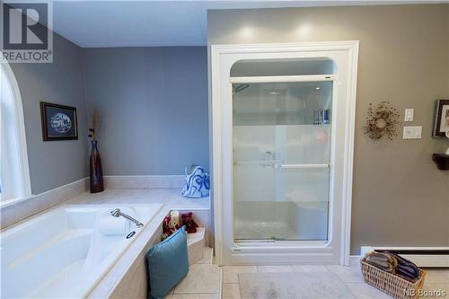304 Portage Road, Grand Falls, NB - Indoor Photo Showing Bathroom