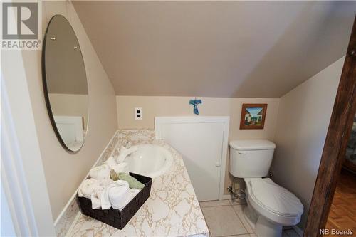 304 Portage Road, Grand Falls, NB - Indoor Photo Showing Bathroom