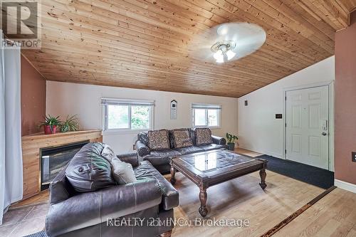 77 Townline Road N Acre, Clarington, ON - Indoor Photo Showing Living Room With Fireplace