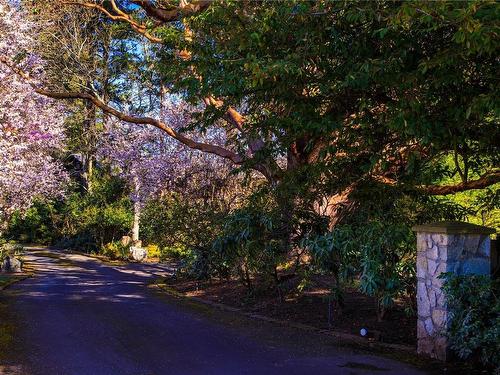 1996 Ferndale Rd, Saanich, BC - Outdoor