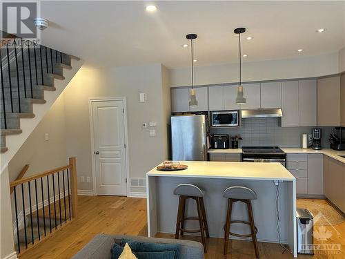 205 Dragonfly Walk, Ottawa, ON - Indoor Photo Showing Kitchen With Upgraded Kitchen