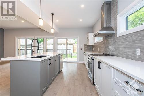 196 Powell Avenue, Ottawa, ON - Indoor Photo Showing Kitchen With Upgraded Kitchen