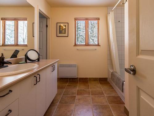 Bathroom - 262 Ch. Seigneurial, Sutton, QC - Indoor Photo Showing Bathroom