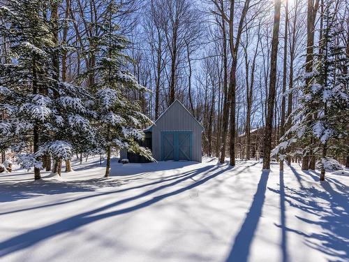 Exterior - 262 Ch. Seigneurial, Sutton, QC - Outdoor With View
