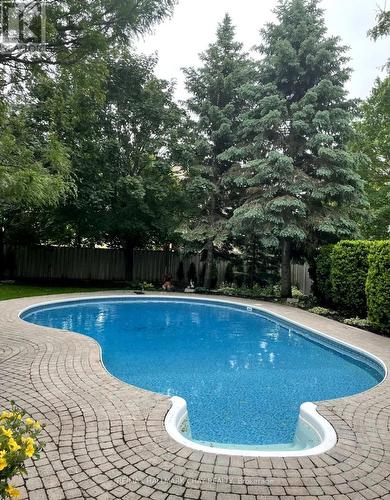 942 Comfort Lane, Newmarket, ON - Outdoor With In Ground Pool With Backyard