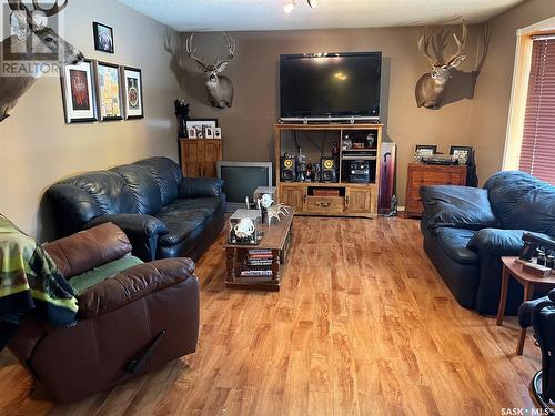425 Young Street, Bienfait, SK - Indoor Photo Showing Living Room