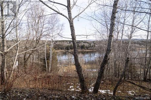 8156 Route 130, Wicklow, NB - Outdoor With View