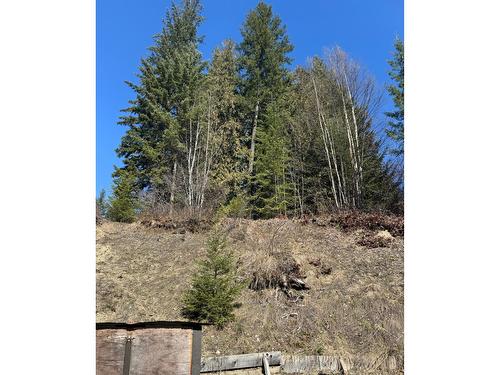 7635 Highway 3A, Balfour, BC - Outdoor With View