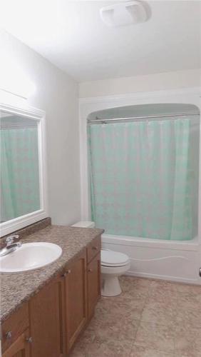41 Blue Mountain Drive, Stoney Creek, ON - Indoor Photo Showing Bathroom