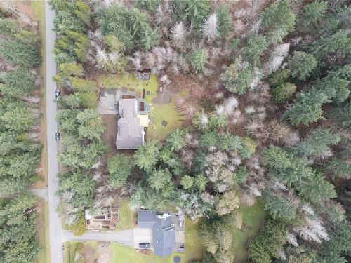 390 Fourneau Way, Parksville, BC - Outdoor With View