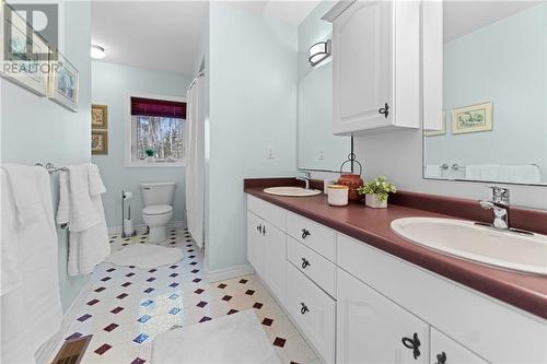 1578 Rapid Road, Westmeath, ON - Indoor Photo Showing Bathroom