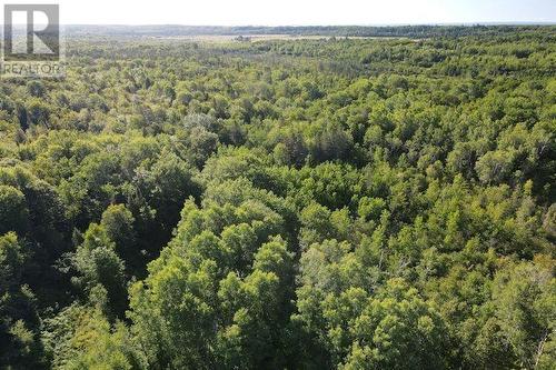 Lot 51 Woodward Ave, Blind River, ON 