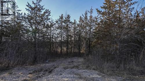 2574 County Rd 5, Prince Edward County (Sophiasburgh), ON 