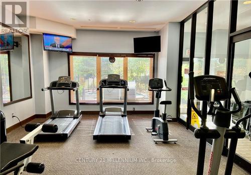 352 - 190 Jozo Weider Boulevard, Blue Mountains, ON - Indoor Photo Showing Gym Room