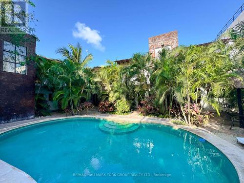 Casa Guadalupe, Mexico, ON - Outdoor With In Ground Pool With Backyard